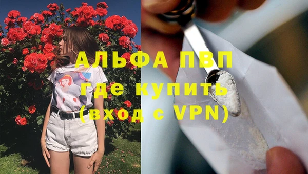 ПСИЛОЦИБИНОВЫЕ ГРИБЫ Волоколамск